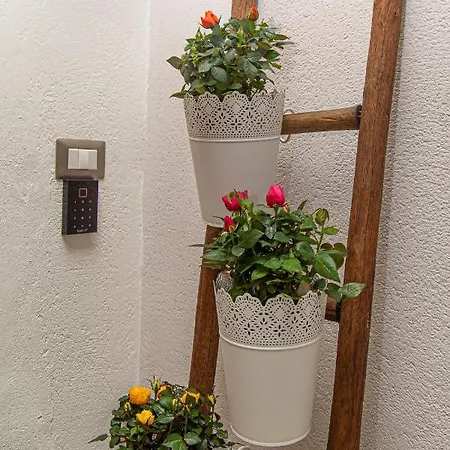 Il Palchetto Di Charme E Design 4*