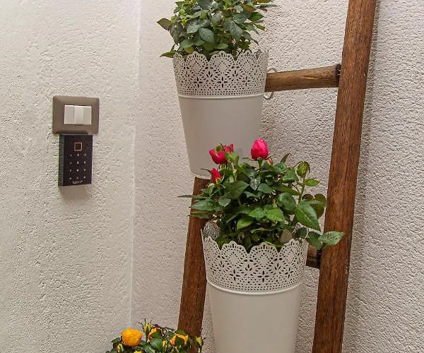Il Palchetto Di Charme E Design 4*