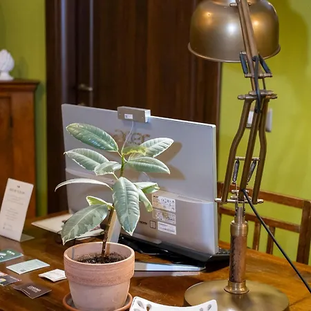 Il Palchetto Di Charme E Design Bed & Breakfast Palermo