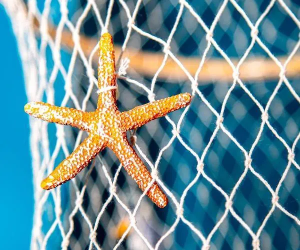 Bed & Breakfast Il Palchetto Di Charme E Design 4*